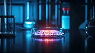 Unlocking Youth: 5 Biohacks for Longevity After 30