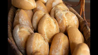 Você sabe de onde surgiu o pão? Novo estudo responde mistério
