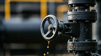 Oil Market Dips: Examining Recent Trends