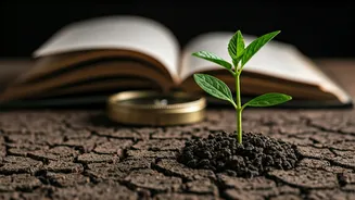 Navigating Valentine's Week: Gen-Z Singles Share Their Survival Strategies