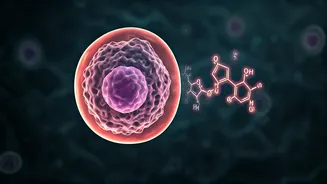 Diet Soda's Cancer-Fighting Claims: Separating Trump's Anecdotes from Scientific Reality