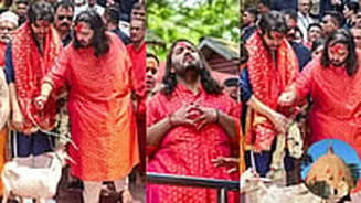 Anant Ambani Visits Kamakhya Temple Ahead Of Assam's Sacred Ambubachi Mela, Offer Prayers