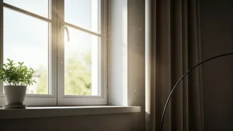 Natural Airflow Is The Quiet Wellness Hero