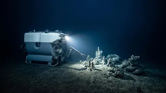 Why Deep-Sea Research Could Change What Scientists Know About Global Warming