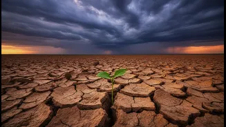 The Truth Behind El Niño And India's Drought Risk