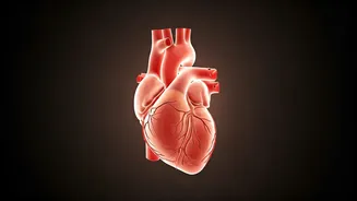 The Omega-3 Deficiency: Risks & Solutions