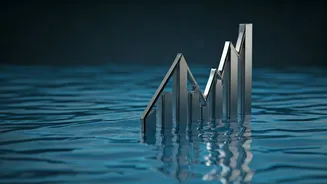 Motilal Oswal Microcap Fund: Inflows Halt Explained