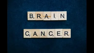Study Explores the Science Behind Forgotten Memories