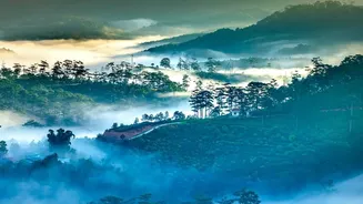 From Misty Forests To Coffee Hills, Hidden Escapes Near Bengaluru Are Booming