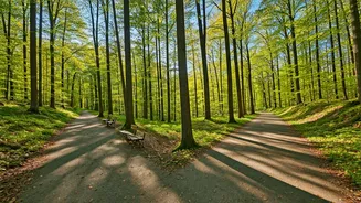 Short Walks vs. Long Walks: Find the Best Fit