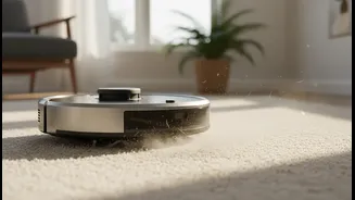 Vacuuming Can Stir Particles Up, So Allergy-Sensitive People Need Care