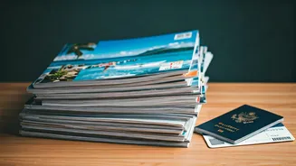 Indian Travelers' Top Destinations in 2025: A Google Search Analysis