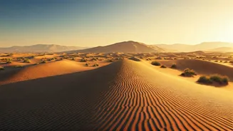 Nature Enthusiasts Map Eco Tours To Southwest Sand Valleys