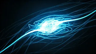 Your Brain's Nightly Power Wash: The Glymphatic System Explained