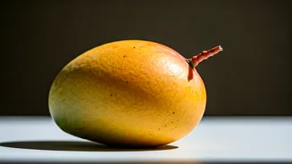 Rotten Mango Seizure Makes Fruit Checks Essential