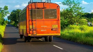 New Data Showing 60% Prefer Domestic Trips Turns Regional Transport into a Reader-Service Question