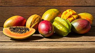 India's Best Getaways: Top 8 Destinations for a Long Weekend