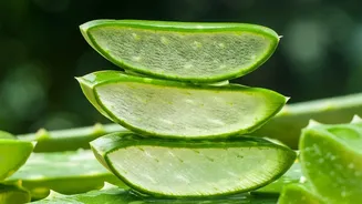 Nutritionists Share Natural Superfoods That Strengthen Joints And Help Prevent Stiffness