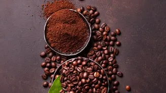 Why coffee subscribers love receiving fresh single-origin Arabica roasts from Chikmagalur and Coorg monthly