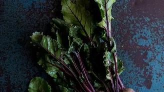 The Real Nutrition Difference Between Raw Radish and Beetroot