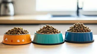 Age-Based Diets Make Pet Nutrition More Precise