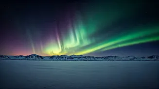 Svalbard's Sunless Spell: Exploring the Arctic's Mysterious Polar Night
