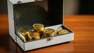 Unveiling the Power of Public Provident Fund Withdrawals