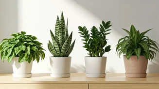 Thrive Effortlessly: 5 Drought-Tolerant Houseplants for the Busy Plant Parent