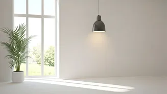 Unlocking the Power of Light: A Feng Shui Guide