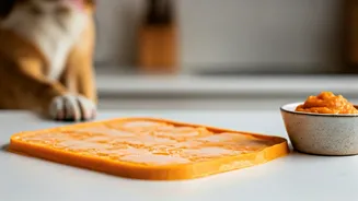 Pet Parents Swear By Blended Pumpkin Frozen Mat Treat Ideas