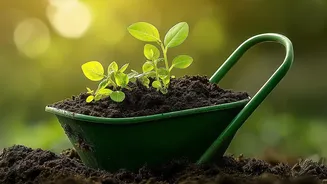 The August Sowing Window: Home Gardeners Should Not Rely on a Generic Seasonal List Alone