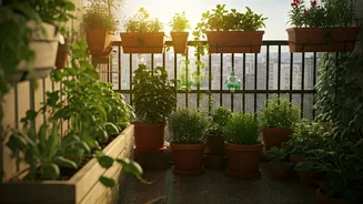 Balcony Gardening Hacks Flood Internet