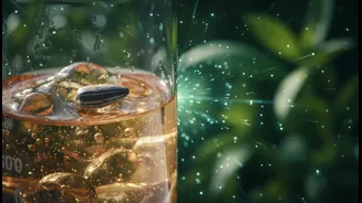 Minor Seed Oils Deserve Evidence Beyond Social-Media Category Labels