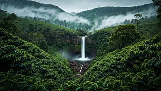 Why Chikmagalur Is The Hottest Offbeat Monsoon Destination Now