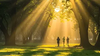 Natural Brain Booster: 10 Minutes Of Morning Sunshine Resets Rhythms For Mental Clarity