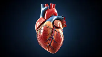 Unveiling the Top 4 Risks for Heart Attacks & Strokes