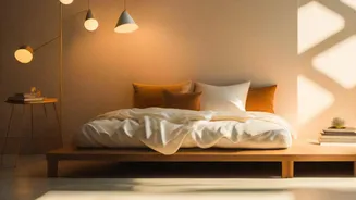 Aligning Your Body Clock: Simple Sunlight Habits And Dark Bedrooms Improve Daily Energy