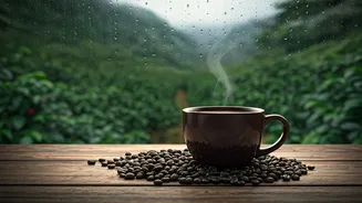 Monsoon Mornings Taste Better With Local Coffee