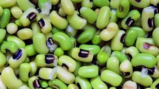 5 amazing health benefits of black-eyed peas