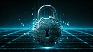 Massive Data Breach: Protecting Your Online Security