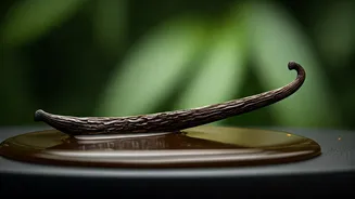 Unlock Radiant Skin: The Surprising Skincare Power of African Vanilla