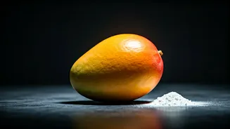 Hyderabad Seizes 200kg of Artificially Ripened Mangoes, Exposing Dangerous Chemical Practices