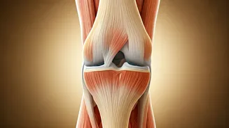 Yoga for Knee Health: Poses for Pain Relief