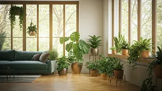 Plants Turn Homes Into Softer Living Spaces