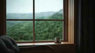 Destination Demand Makes Rainy Getaways Less Random
