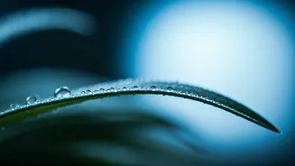 Pele Sensível no Inverno: Guia Completo de Cuidados e Produtos Essenciais