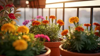 Related Stories banner