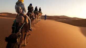 How to explore the Namib Desert on camelback