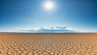 Why The Advancing Southwest Monsoon Has Temporarily Paused Its Journey