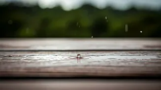 5 Simple Fixes To Beat Monsoon Damage